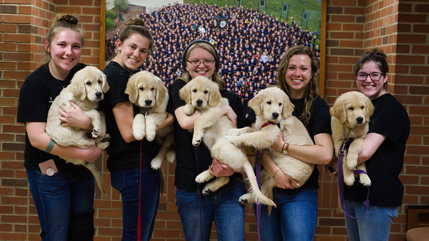 4 Paws For Ability at Cedarville spring 2019
