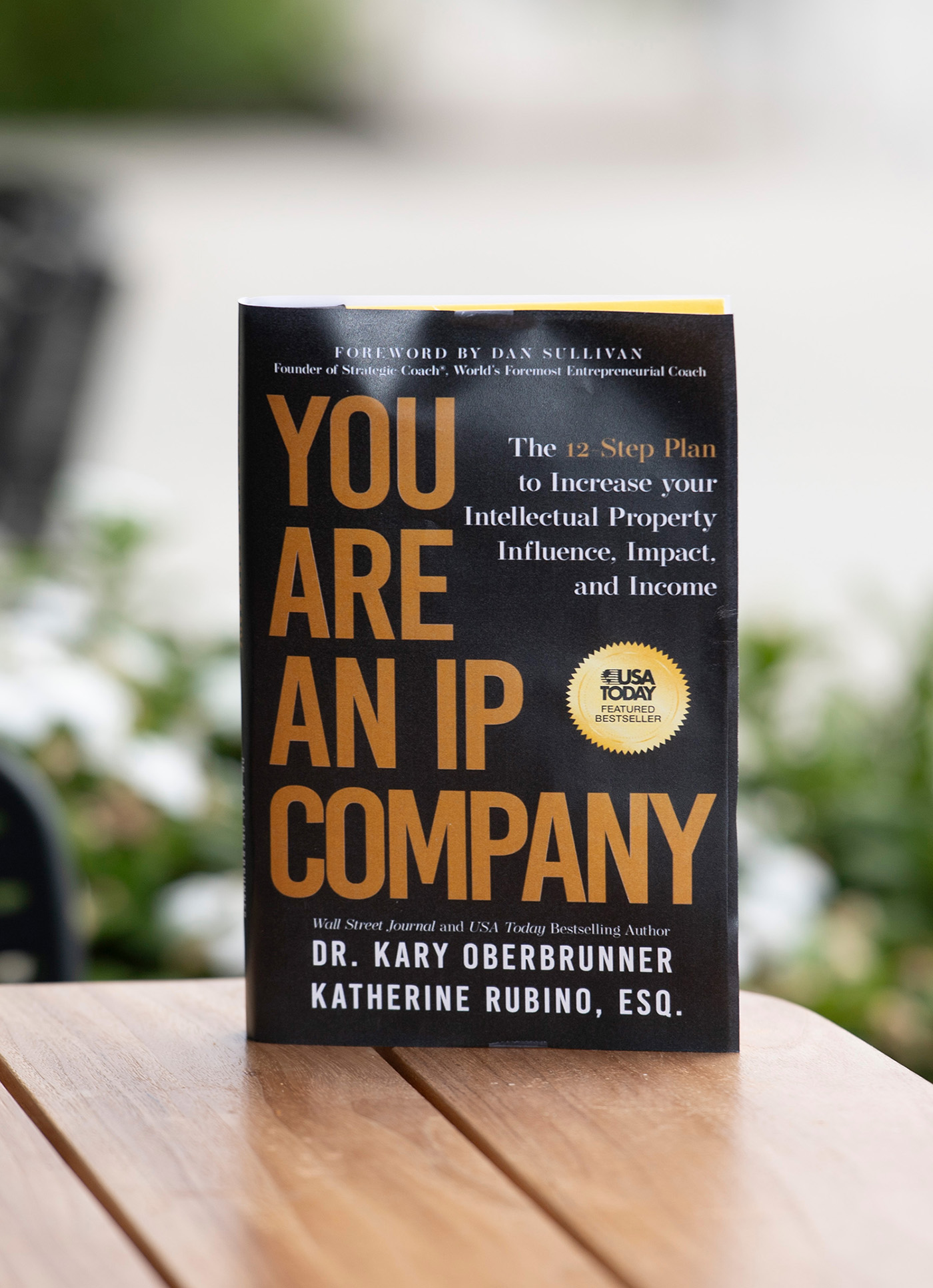 You Are an IP Company book by Kary Oberbrunner