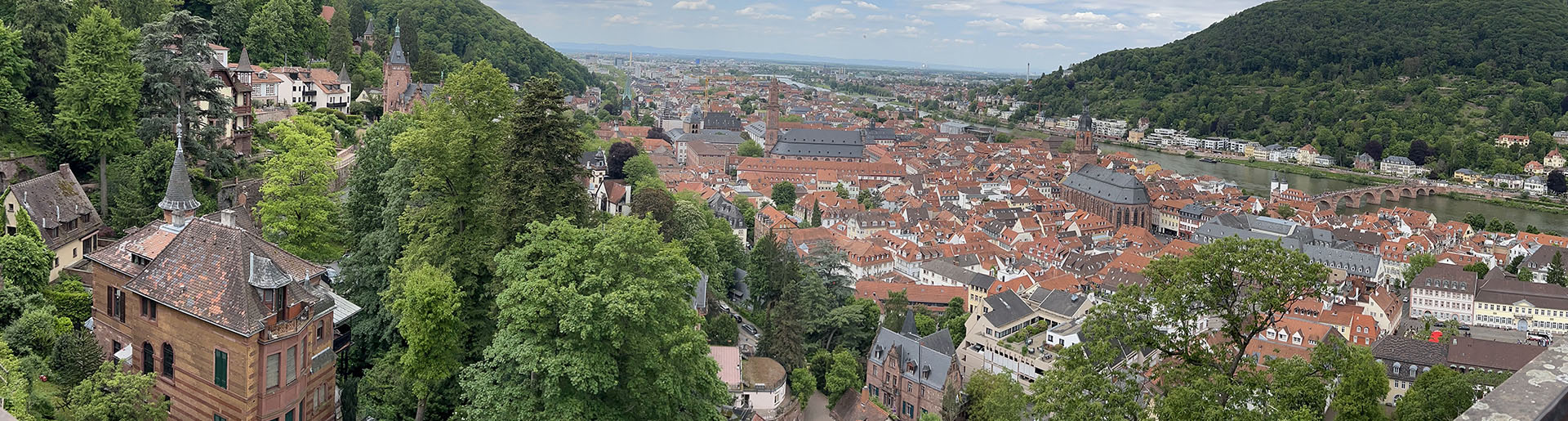 Panoramic view of red-roofed buildings in Germany surrounded by green hills and a river.