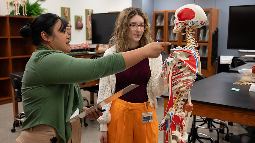 PA students identifying skeletal parts