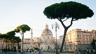 Historic square in Rome, Italy, with tall pine trees, a dome, and a classical column.