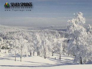 Snow-covered trees on a mountain at Seven Springs Ski Resort.